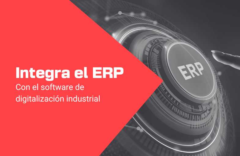 integración ERP